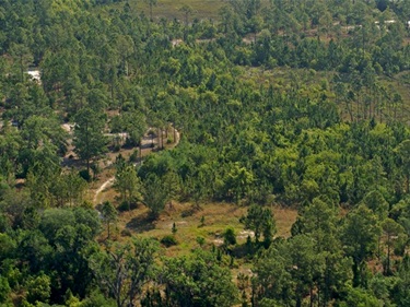 Lake Lizzie Aerial