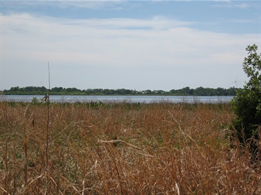 Lake Runnymede