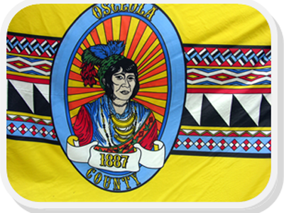 Osceola County Flag