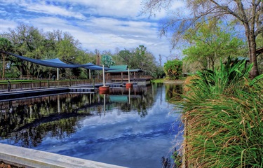 Shingle Creek Regional Park - Marsh Landing