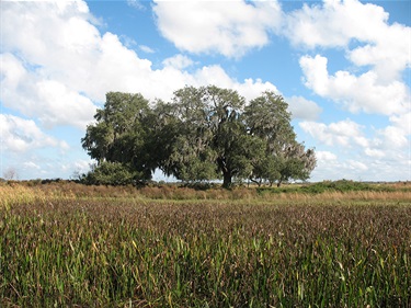 Twin Oaks Conservation Area