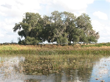 Twin Oaks Conservation Area