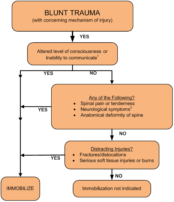 Flowchart for handling Blunt Trauma with Concerning Mechanism of Injury