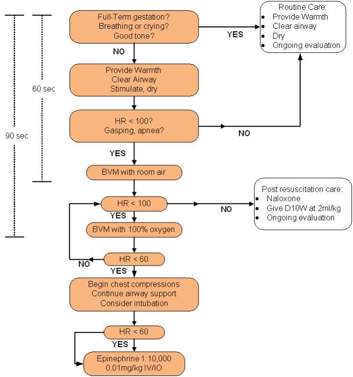 If no to the following: Full-Term gestation, breathing or crying, good tone – provide warmth to newborn, clear its airway, stimulate, and dry them. Check if heartrate (HR) is < 100 and I the newborn is gasping or has apnea. If not, routine care of providing warmth, clearing airway, drying them, and ongoing an evaluation (routine care if the newborn is: Full-Term gestation, breathing or crying, and in good tone) If newborn’s heartrate is < 100 and is gasping and has apnea, BVM with room air and check if HR is < 100. If so, BVM with 100% oxygen and check if HR is < 60. If HR is not < 60 or 100, post resuscitation care: Naloxone, give D10W at 2ml/kg, and ongoing an evaluation. If HR is < 60 or 100, begin chest compressions, continue airway support, and consider intubation. Check is HR is < 60. If so, administer Epinephrine 1:10,000 0.01 mg/kg IV/IO