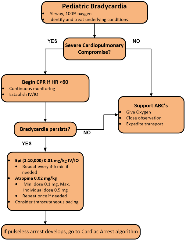 Identify and treat underlying conditions and check airway, 100% oxygen for Pediatric Bradycardia. If there is Severe Cardiopulmonary Compromise, begin CPRS if HR < 60. Continue monitoring and establish IV/IO. If Bradycardia persists, administer Epi (1:10,000) 0.01mg/kg IV/IO and repeat every 3-5min if needed. Administer Atropine 0.02mg/kg (Dose 0.1mg Min, individual dose 0.5mg Max) and repeat once if needed. Consider transcutaneous pacing if Bradycardia persists. If pulseless arrest develops, go to Cardiac Arrest algorithm. If Severe Cardiopulmonary is NOT compromise, support ABC’s: give oxygen, close observation to patient, and expedite transport. Follow support ABC’s if Bradycardia does not persist.