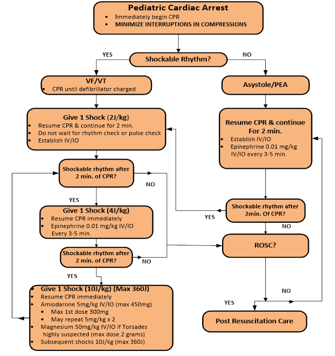 Immediately begin CPR and MINIMIZE INTERRUPTIONS IN COMPRESSIONS if there is a Pediatric Cardiac Arrest. If there is a shockable rhythm, do CPR until the defibrillator is charged (VF/VT). Once charged, give 1 shock (200 J) and resume CPR immediately for 2 minutes. Do not wait for a rhythm or pulse check. If there’s a shockable rhythm after 2 mins of CPR, give 1 Shock (4J/kg) and resume CPR immediately and administer Epinephrine 0.1 mg IV/IO every 3-5. Repeat these steps if there’s a shockable rhythm after 2 mins of CPR: give 1 Shock again (10J/kg) (max 360J), resume CPR immediately, but this time administer Amiodarone 5mg/kg IV/IO (max 450mg) – Maz first dose 300mg/may repeat 5mg/kg two times - one dosage of Magnesium 50mg/kg IV/IO if Torsades is highly suspected (max dose 2 grams). Subsequent shocks 10J/kg (max 360J) If no response of a shockable rhythm was made after 2 min. of CPR, check if there are any ROSC. If so, follow up with Post Resuscitation Care. If no signs of ROSC and if the patient is Asystole/PEA, follow these steps as if no shockable rhythm was witnessed: Check if the patient is in Asystole/PEA. Resume CPR immediately and continue for 2 min: Establish IV/IO and Epinephrine 0.01 mg/kg IV/IO every 3-5min. If there is a shockable rhythm after 2 min. of CPR, proceed with the previously mentioned steps beginning with VF/VT followed with 1 Shock (2J/kg) and so on (Please refer to previously mentioned steps for exact instructions).