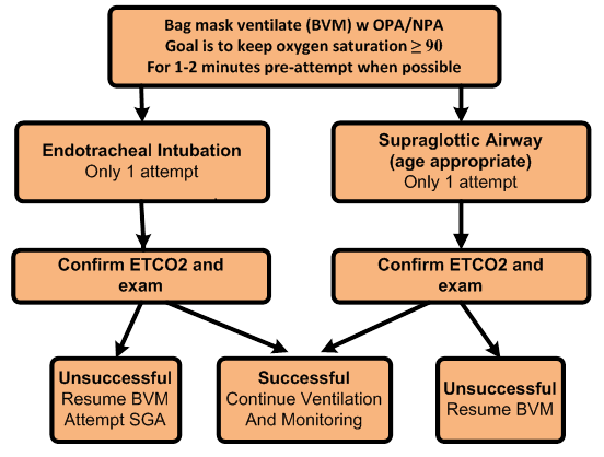 Pediatric Medical Protocols flowchart