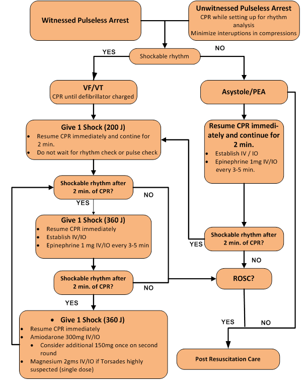 A Witnessed or Unwitnessed Pulseless Arrest and there is a shockable rhythm, do CPR until the defibrillator is charged (VF/VT). Once charged, give 1 shock (200 J) and resume CPR immediately for 2 minutes. Do not wait for a rhythm or pulse check. If there’s a shockable rhythm after 2 mins of CPR, give 1 Shock (360 J) and resume CPR immediately, establish patient’s IV/IO and administer Epinephrine 1 mg IV/IO every 3-5. Repeat these steps if there’s a shockable rhythm after 2 mins of CPR: give 1 Shock again (360 J), resume CPR immediately, but this time administer Amiodarone 300 mg IV/IO and one dosage of Magnesium 2gms IV/IO if Torsades is highly suspected. Consider an additional dosage of 150 mg if a second round of Amiodarone is needed. If no response of a shockable rhythm was made after 2 min. of CPR, check if there are any ROSC. If so, follow up with Post Resuscitation Care. If no signs of ROSC, follow these steps as if no shockable rhythm was witnessed: Check if the patient is in Asystole/PEA. Resume CPR immediately and continue for 2 min. Establish IV/IO and Epinephrine 1 mg IV/IO every 3-5min. If there is ashockable rhythm after 2 min. of CPR, proceed with the previously mentioned steps beginning with VF/VT followed with 1 Shock (200 J) and so on (Please refer to previously mentioned steps for exact instructions). If the patient is not in Asystole/PEA, follow up with Post Resuscitation Care. Additionally, if no Witnessed or Unwitnessed Pulseless Arrest is viewed, proceed with the Asystole/PEA protocols.